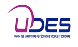 Logo de l'UDES