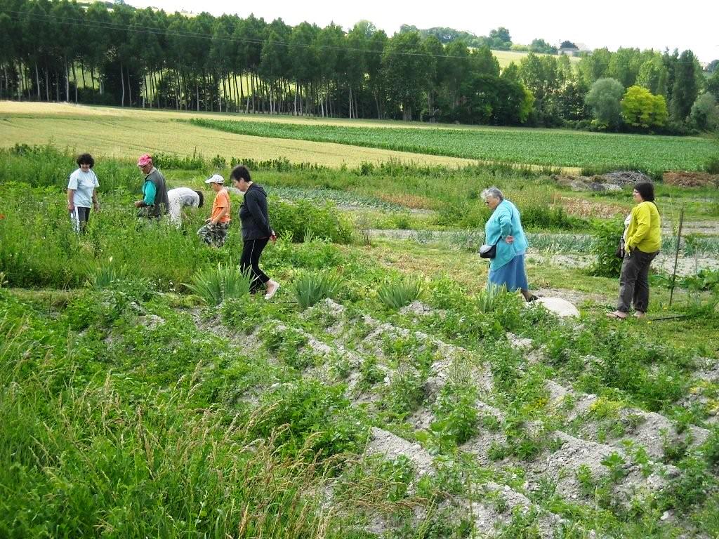 Groupe de personnes dans un champs