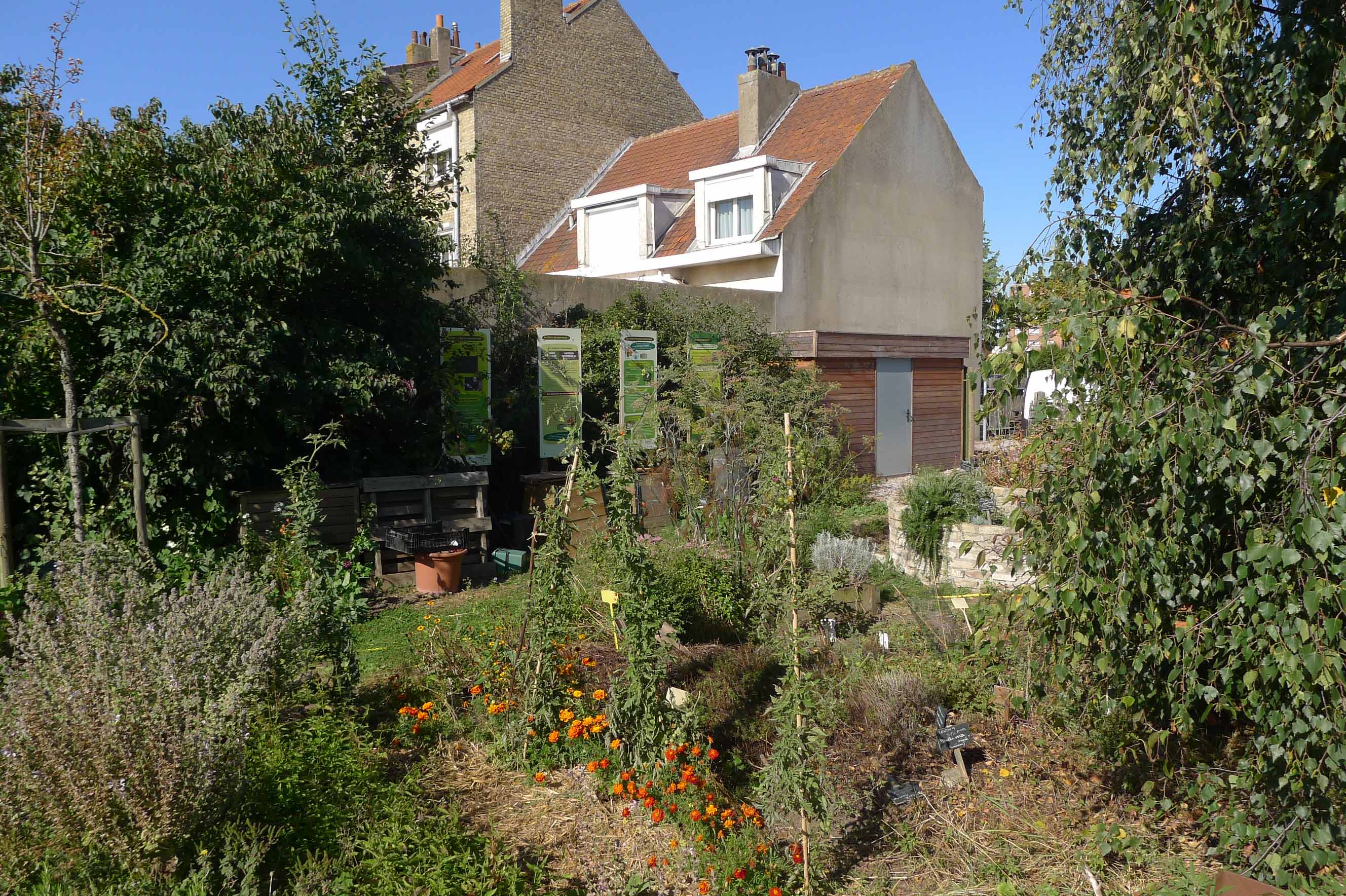 Agriculture et alimentation durables, jardin potager