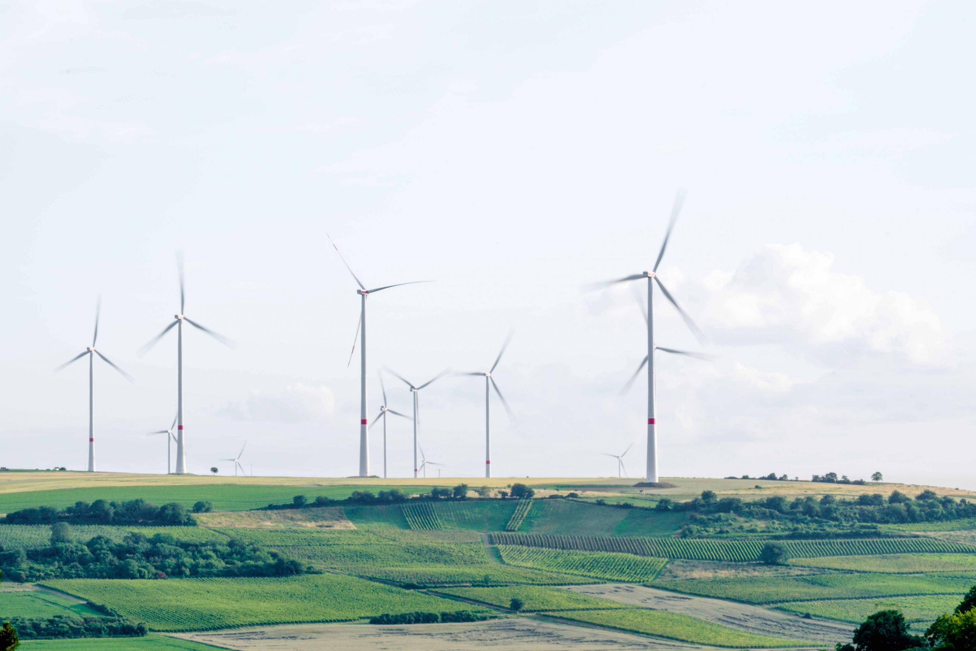 éoliennes dans un champ