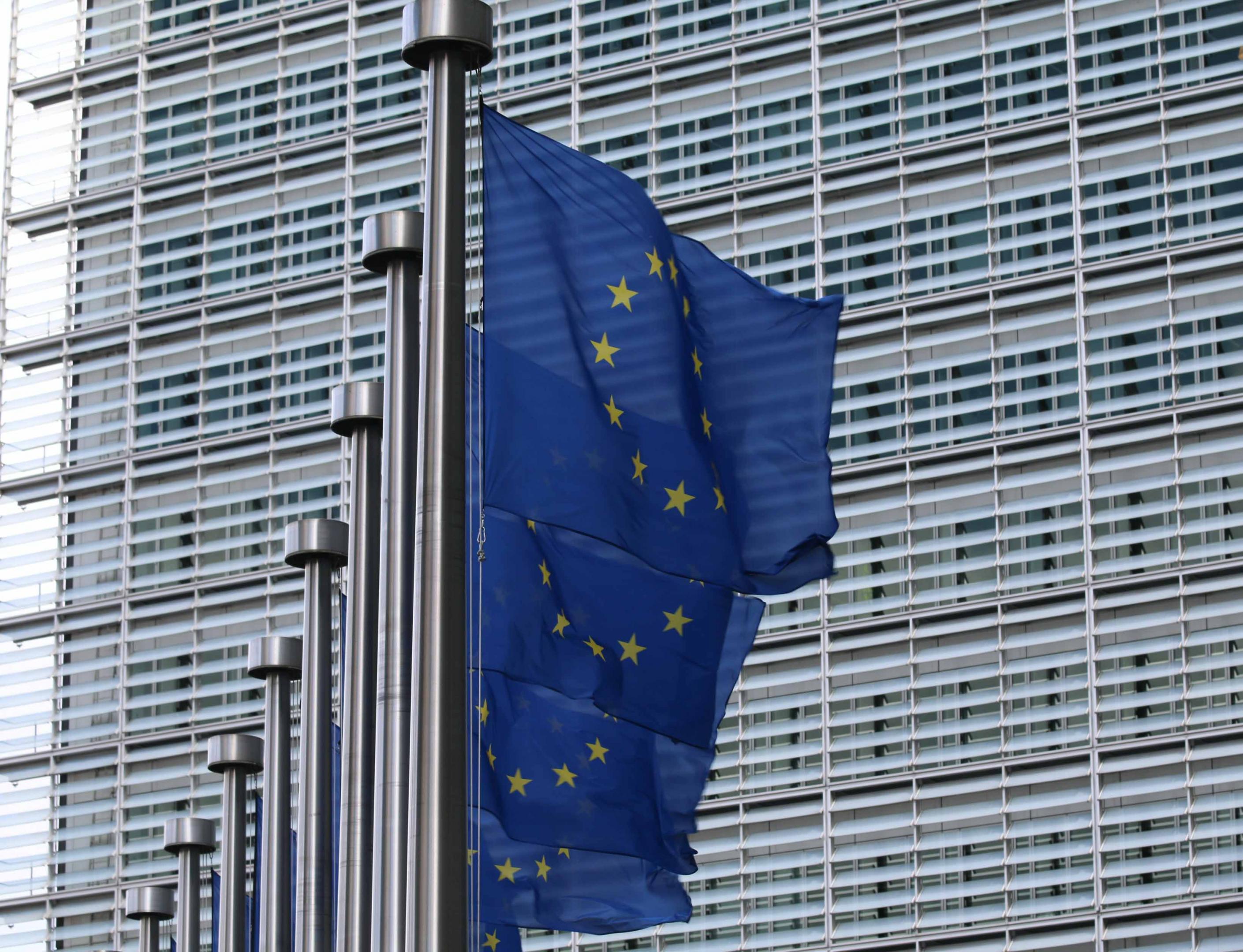 Plaidoyer europe 2.jpg Drapeaux européen