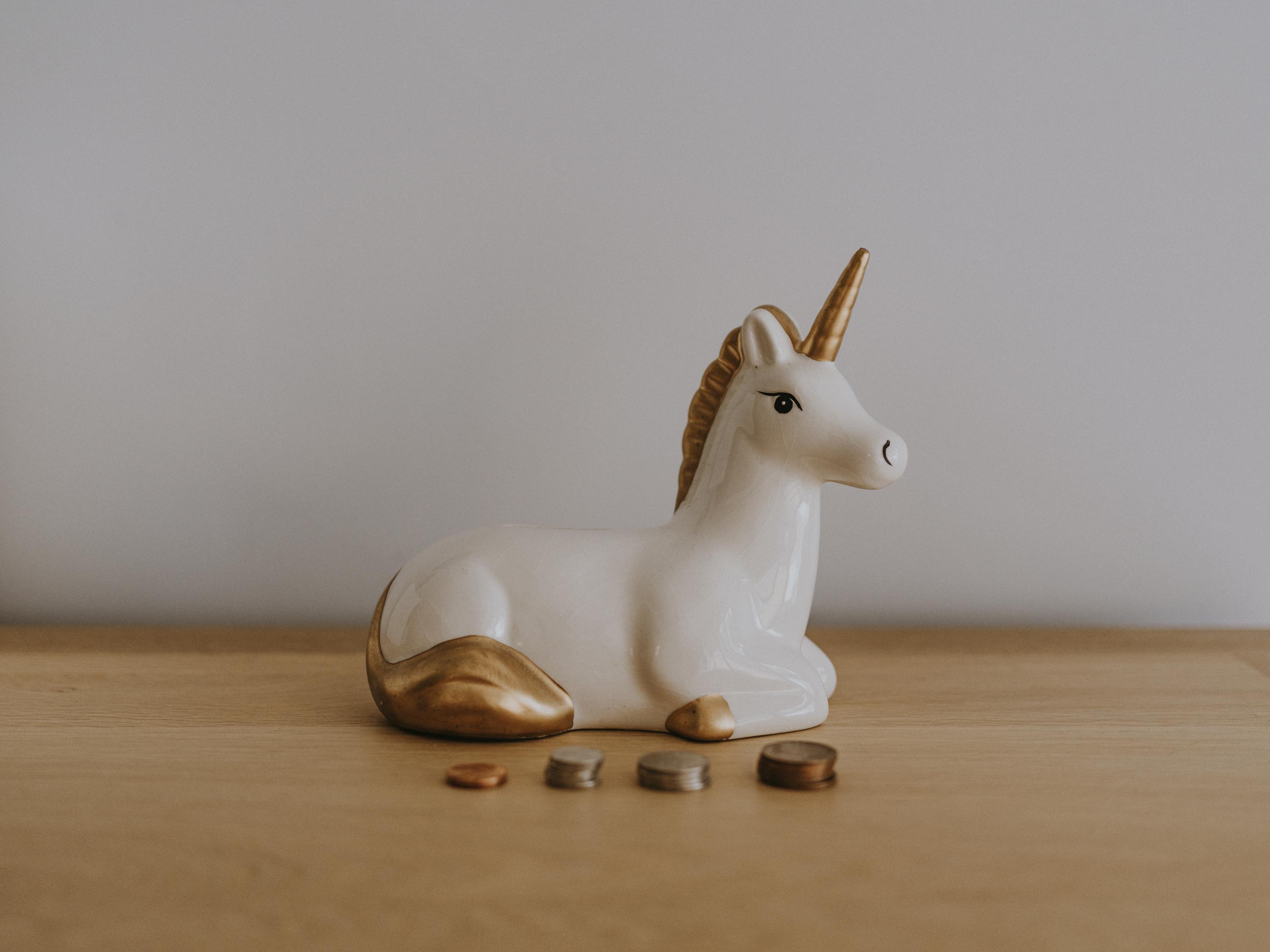 annie-spratt-Jr8byYZmTTU-unsplash(1).jpg Tireline Licorne