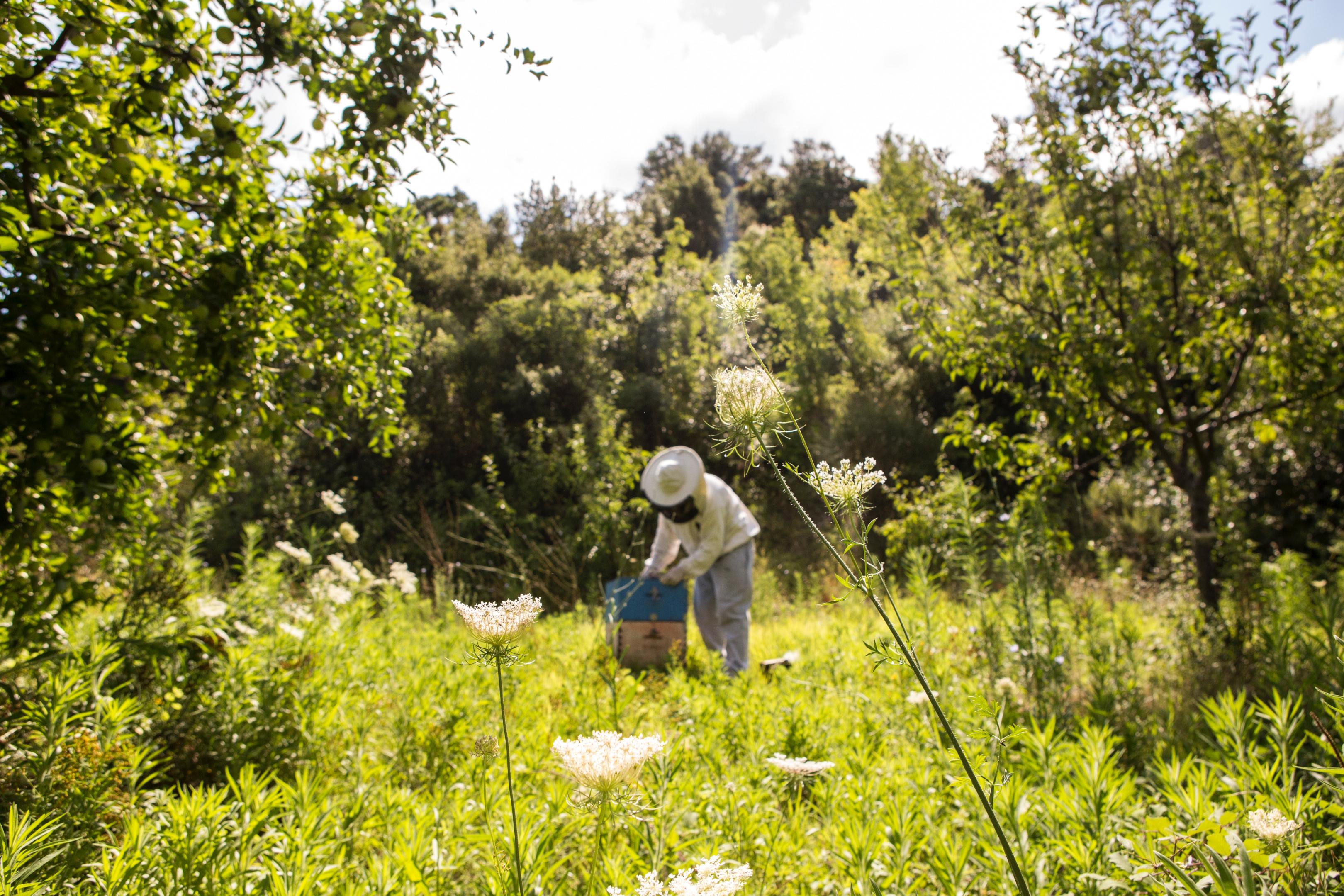 agriculture bio