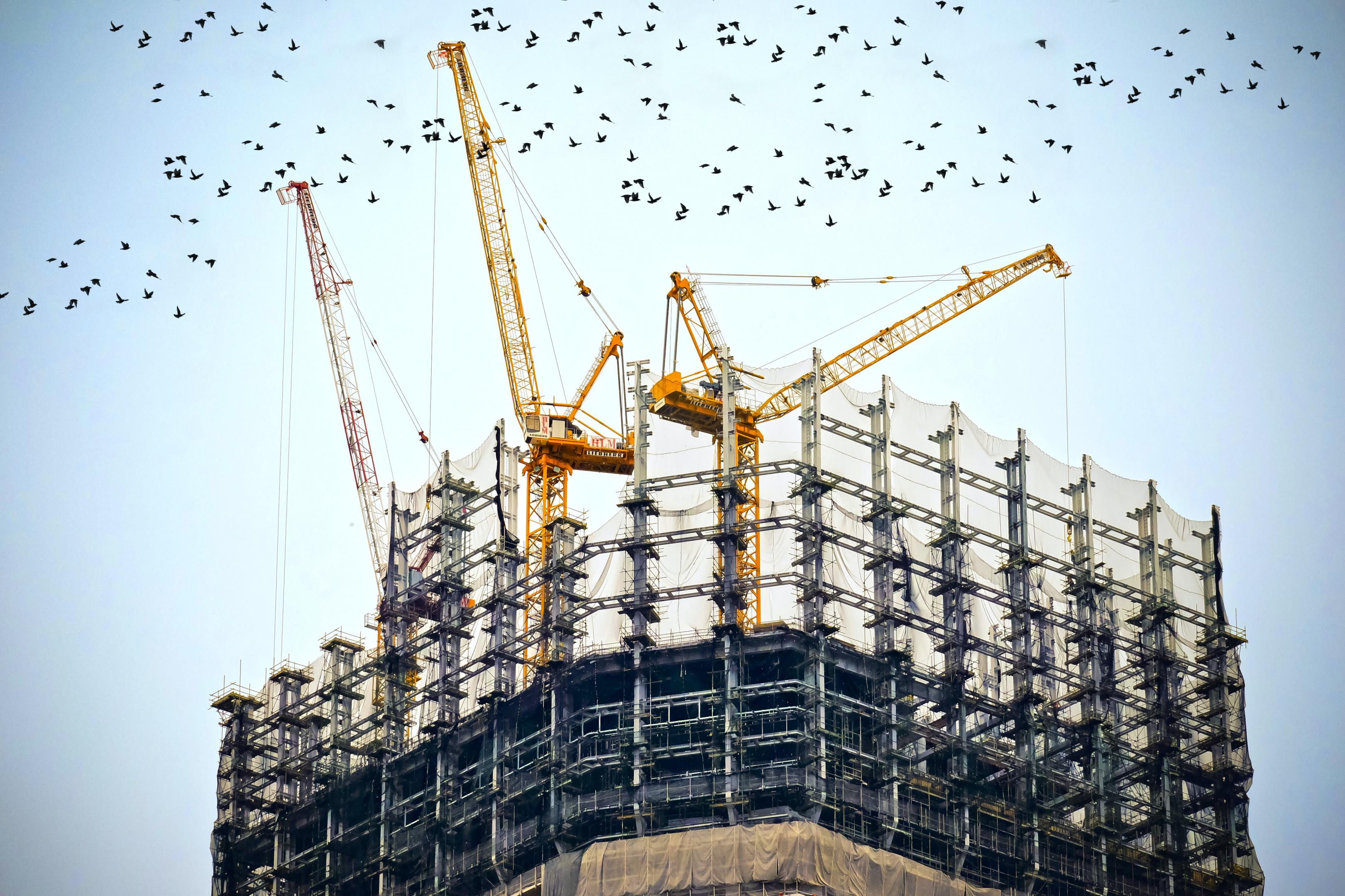 danist-soh-8Gg2Ne_uTcM-unsplash.jpg Plateforme réemploi Bruxelles