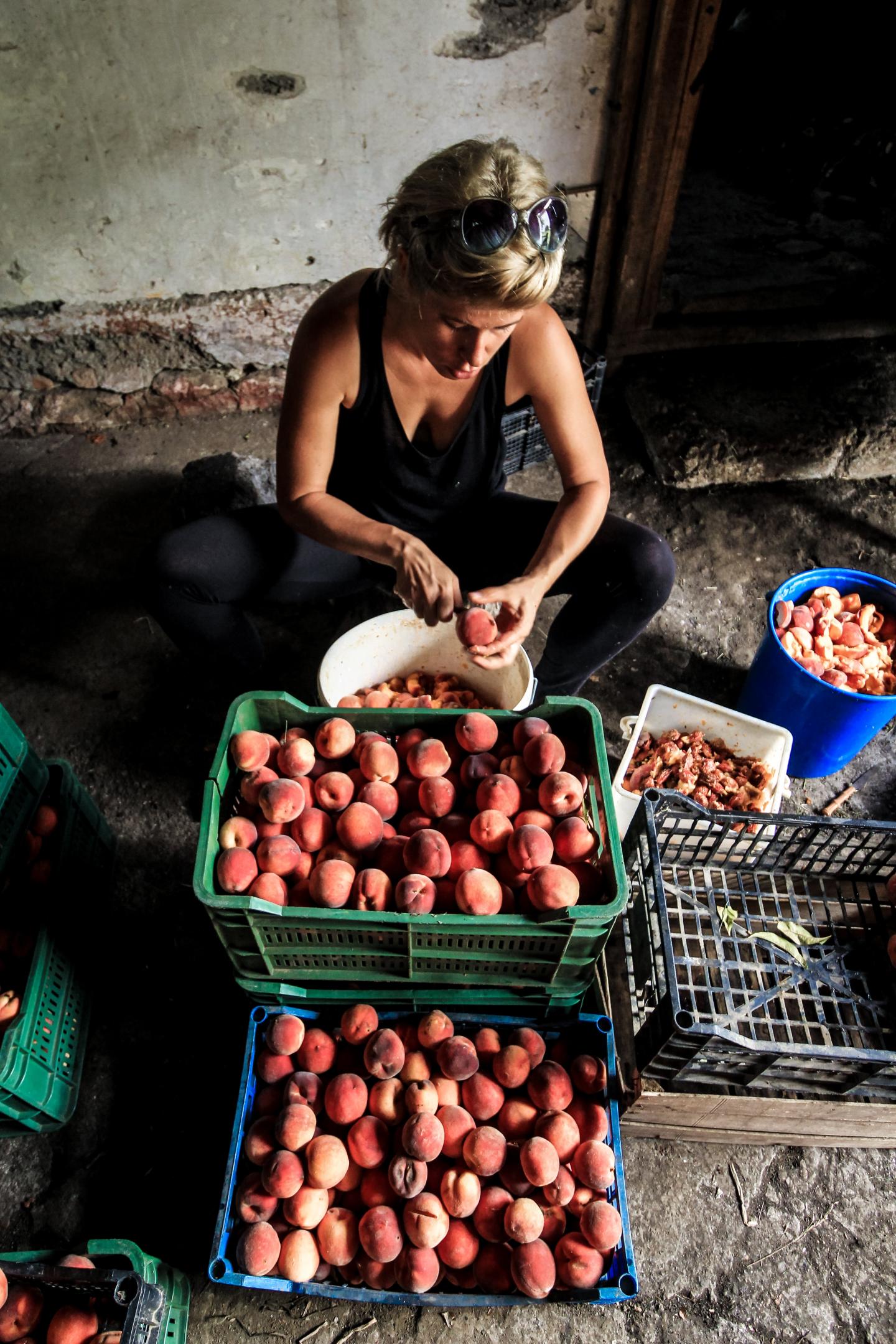 agriculture bio