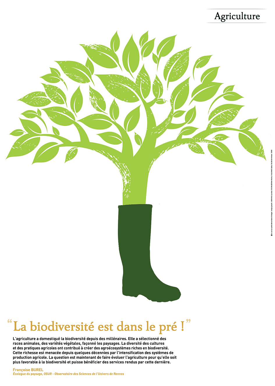 Illustration &quot;la biodiversité est dans le pré&quot;