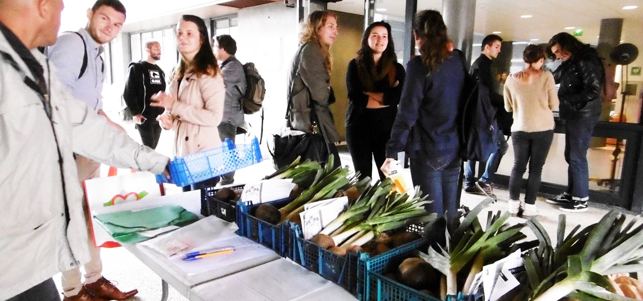 Etudiants avec les paniers de fruits et légumes