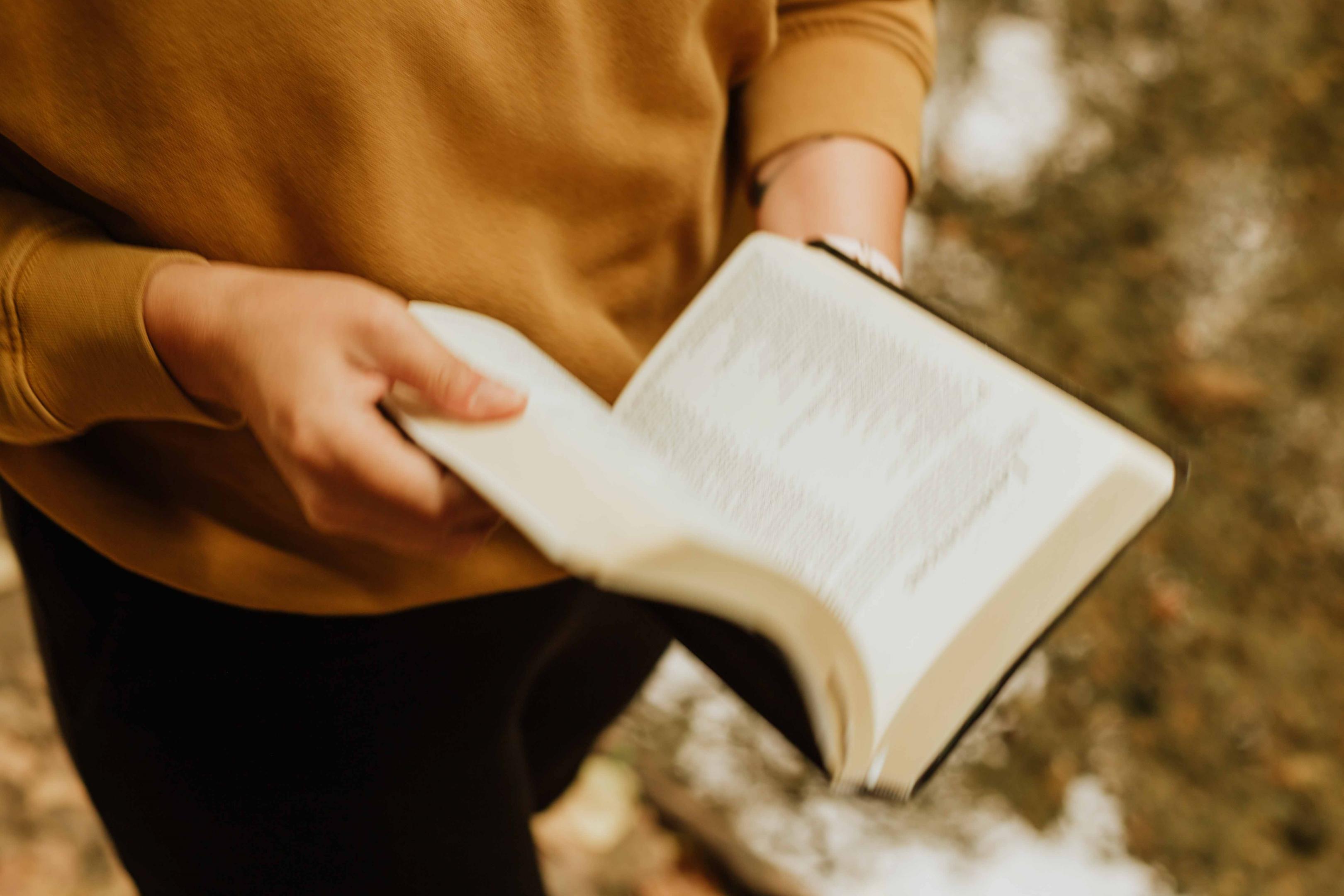 synthèse création de valeur.jpg personne lisant un livre