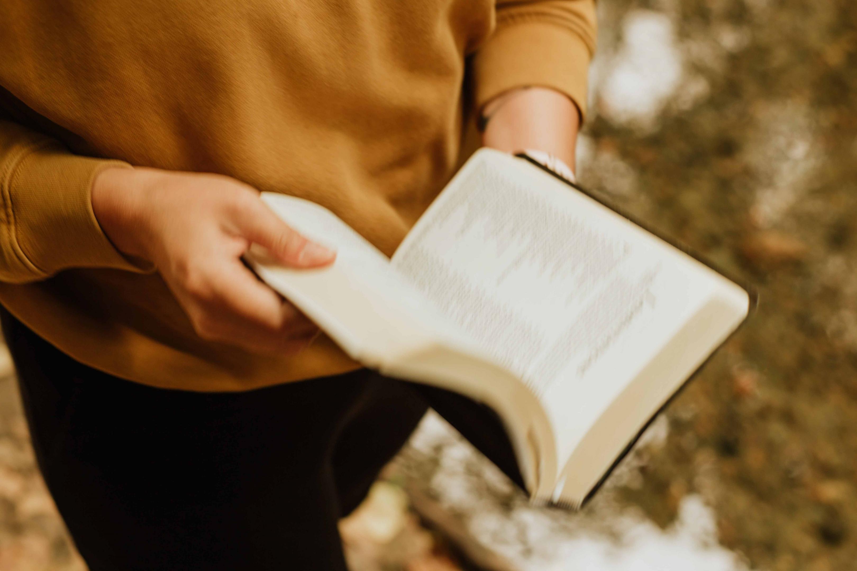 personne lisant un livre