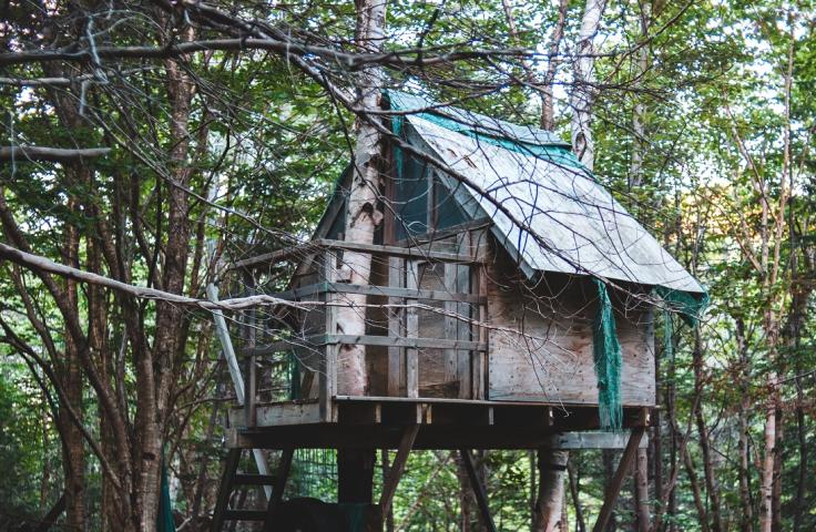 Cabane dans les arbres