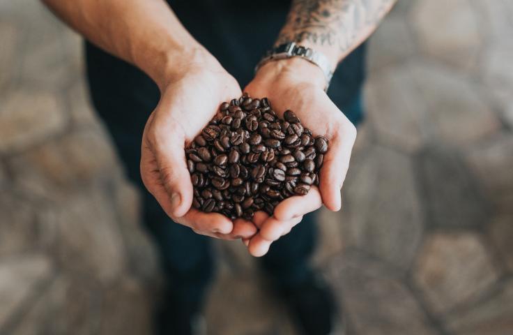 Personnes tenant des grains de café