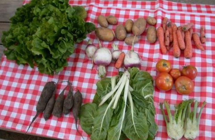 Légumes variés sur une nappe à carreaux 