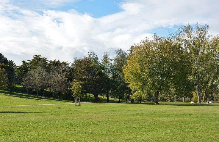 Parc avec des arbres et du ciel bleu