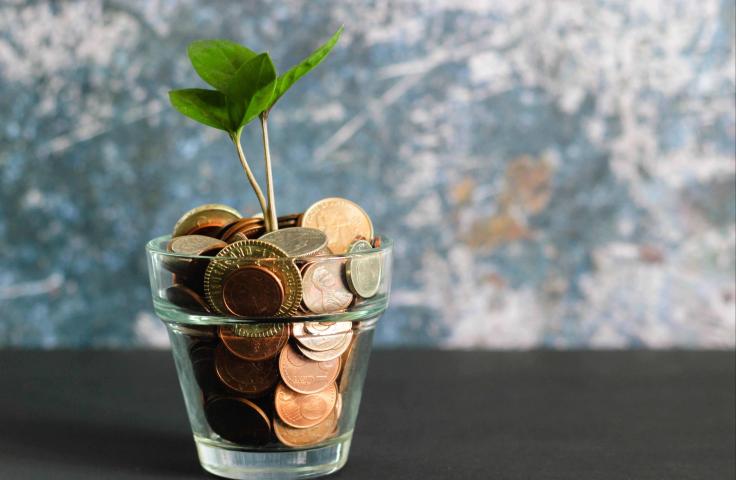 Pièces de monnaies avec une pousse de plante