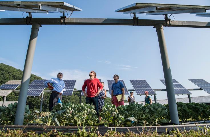 Groupe de personnes regardant des panneaux solaires dans un champs