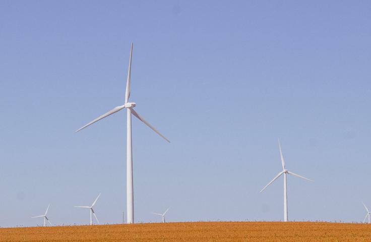 éoliennes dans un champs