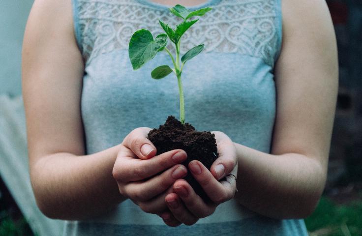 Femme tenant de la terre avec une plante