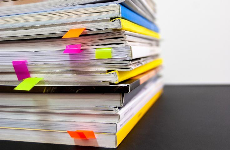 rapport SCIC CAE IGAS IGF