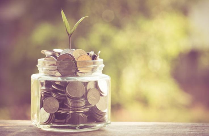 Pot en verre rempli de pièces avec une plante qui pousse