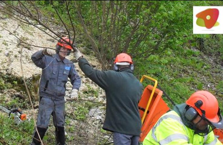 Personnes avec casques de chantier