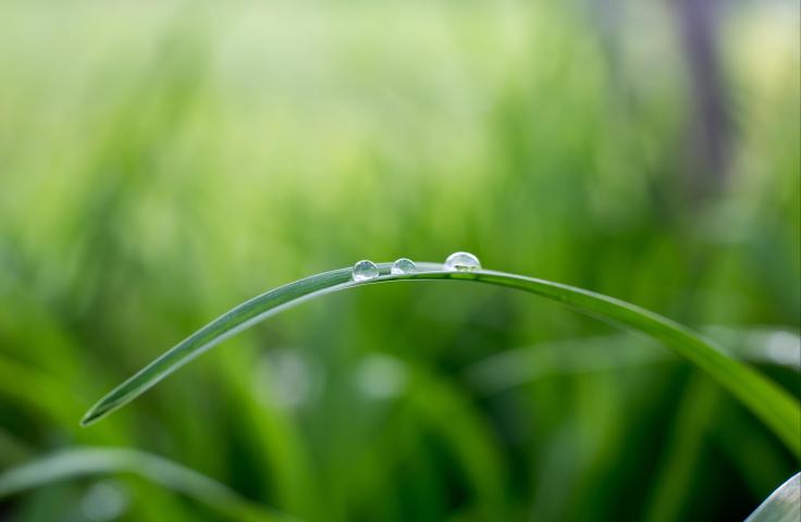 ESS, environnement, développement durable, transition énergétique développement durable