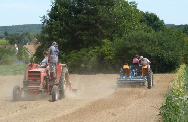 Hommes sur des tracteurs dans un champs