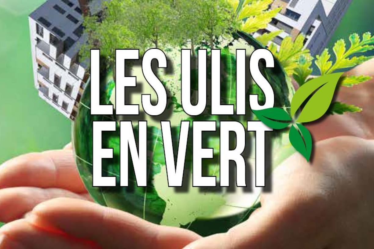 Festival les Ulis en Vert