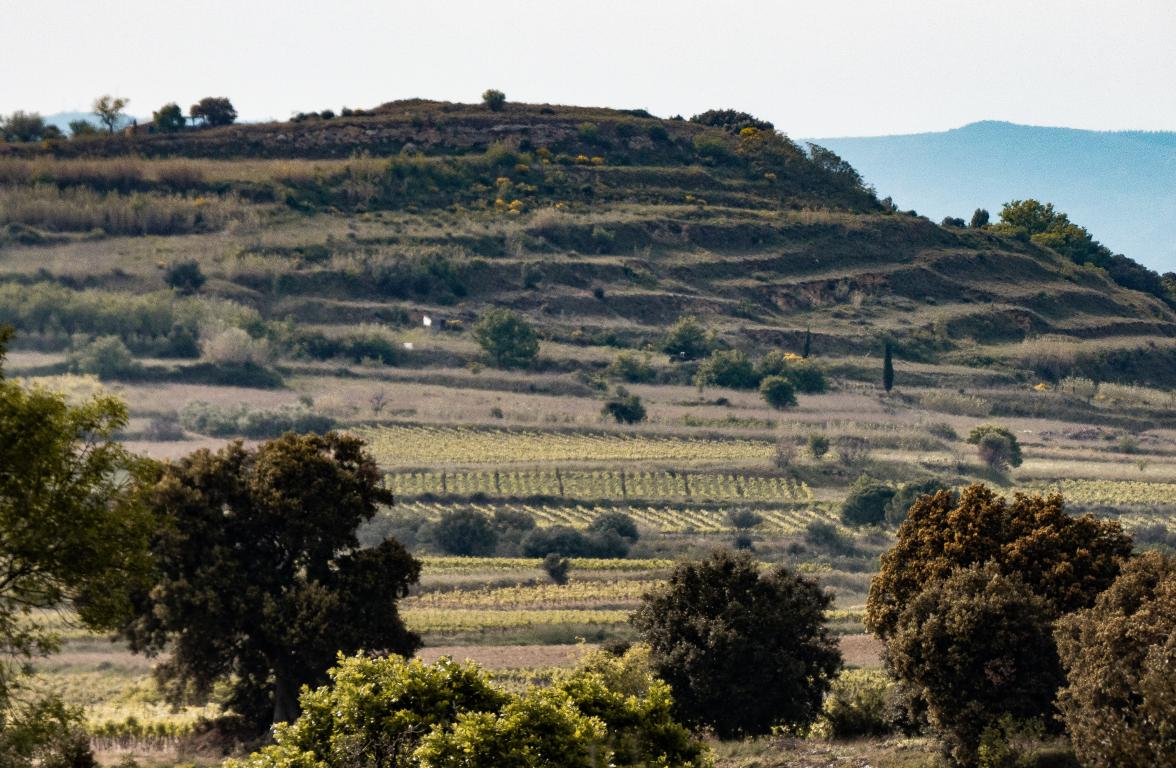 Paysage de territoire rural