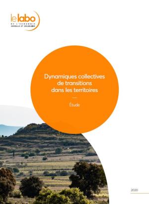 Couverture publication dynamiques collectives de transitions dans les territoires