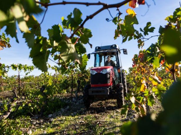 ESS, emploi, insertion, agriculture durable Vignes de cocagne