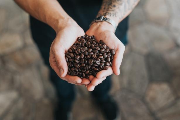 Personnes tenant des grains de café