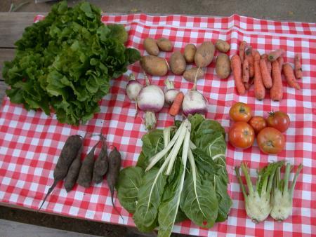 Légumes variés sur une nappe à carreaux 