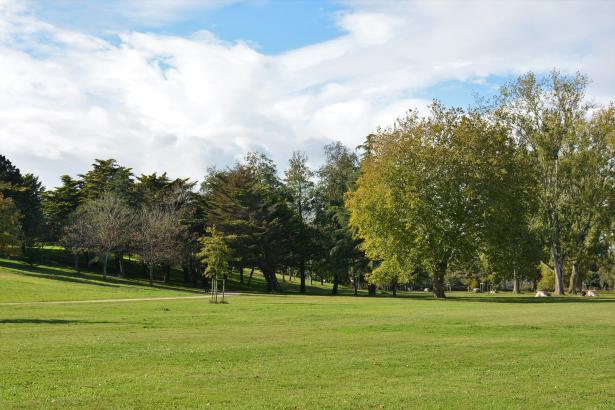 Parc avec des arbres et du ciel bleu