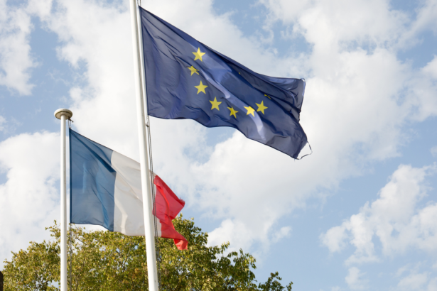 Vers une Europe de l'ESS ? Analyse des stratégies nationales adoptées par les États membres