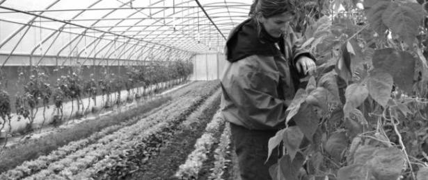 ESS, PTCE, agriculture et alimentation durables, coopération, territoire, bio PTCE Terre d'opale