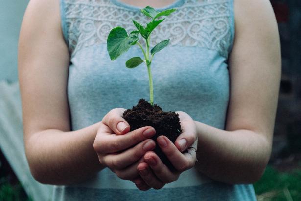 Femme tenant de la terre avec une plante