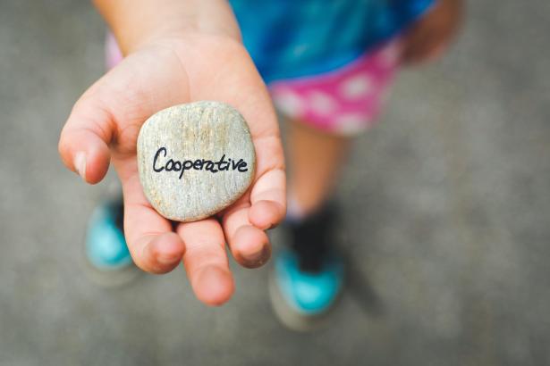 ESS, emploi, coopérative, coopération, gouvernance, territoire Coopérative