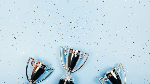 Pôles territoriaux de coopération économique (PTCE) : les lauréats 2024