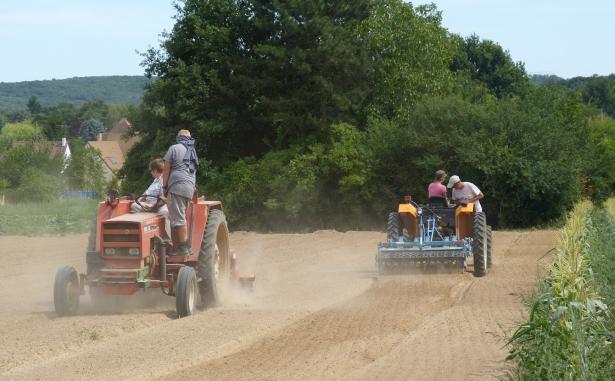 Hommes sur des tracteurs dans un champs